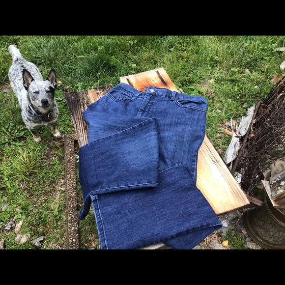 Gloria Vanderbilt denim pants - Picture 1 of 13